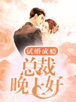 試婚成癮：總裁晚上好