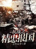 抗戰(zhàn)之精忠報(bào)國(guó)