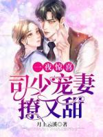一夜驚喜：司少寵妻撩又甜