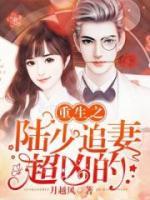 重生之陸少追妻超兇的