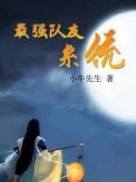 最強(qiáng)隊(duì)友系統(tǒng)