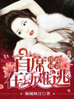律政辣妻：首席在劫難逃