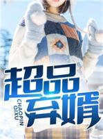 超品棄婿