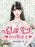 總裁先生的閃婚甜妻