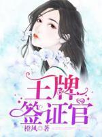 王牌簽證官