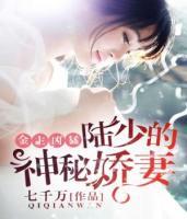 此生愛你N次方