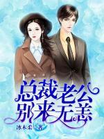 總裁老公別來(lái)無(wú)恙