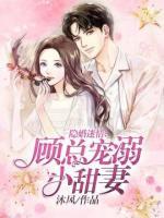 隱婚迷情：顧總寵溺小甜妻