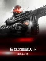 抗戰(zhàn)之血戰(zhàn)天下
