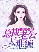 一胎雙寶：總裁老公太難纏
