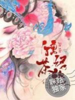 錦繡茶緣
