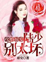 攻婚掠愛：陸少別太壞！