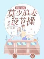 謀婚成癮：莫少追妻沒節(jié)操