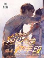 鮮婚厚愛：宛少追妻好手段