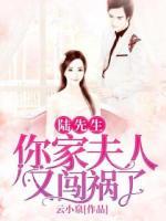 陸先生，你家夫人又闖禍了