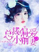 末路見(jiàn)你：總裁偏愛(ài)小前妻