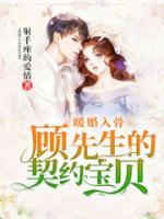 暖婚入骨：顧先生的契約寶貝