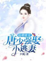 隱婚密愛：唐少強娶小逃妻