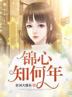 錦心知何年