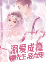 溺愛成癮：霍先生，輕點寵！