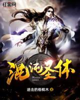 混沌圣體