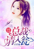 追婚奪愛(ài)：總裁請(qǐng)入甕
