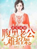 誘愛(ài)成婚，腹黑老公難招架