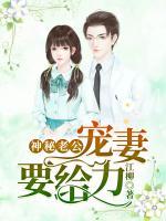 神秘老公：寵妻要給力