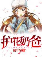 護(hù)花奶爸