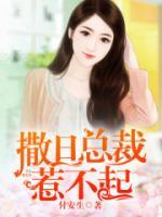 撒旦總裁惹不起
