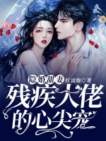 隱婚甜妻，殘疾大佬的心尖寵