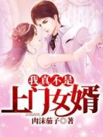 我真不是上門(mén)女婿