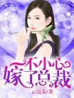 一不小心嫁了總裁