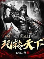新三國之玩轉(zhuǎn)天下