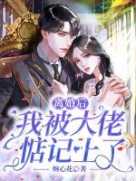 離婚后我被大佬惦記上了
