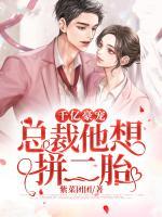 千億豪寵：總裁他想拼二胎