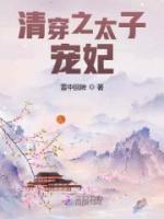 清穿之太子寵妃