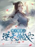 邪王追妻之逆天懶妃
