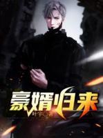 豪婿歸來(lái)