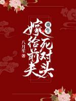重生嫁給前夫死對(duì)頭