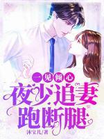 一見(jiàn)傾心：夜少追妻跑斷腿
