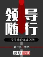 領(lǐng)導(dǎo)隨行