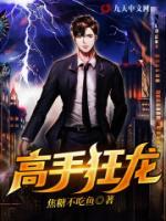 高手狂龍