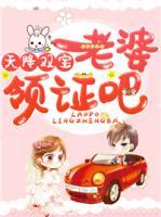 天降雙寶：老婆，領證吧