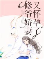修爺嬌妻又懷孕了