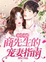 溺愛成癮：商先生的寵妻指南