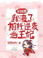 穿越后我渣了前任逆襲當王妃