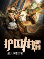 護(hù)國(guó)龍婿