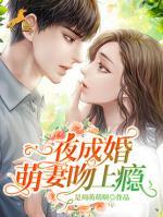 一夜成婚，萌妻吻上癮