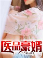 醫(yī)品豪婿